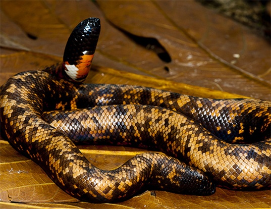 python groundwater