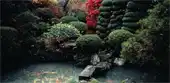 Jardines japoneses y enfermedad cerebral