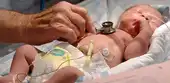 WORLD INFANT MORTALITY REPORT