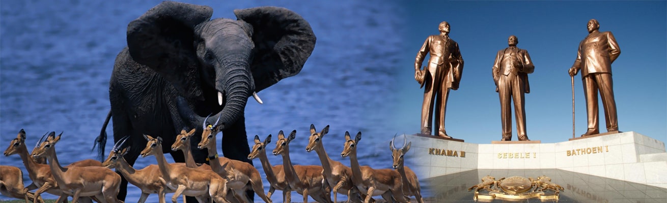 HEALTH PROFILE BOTSWANA