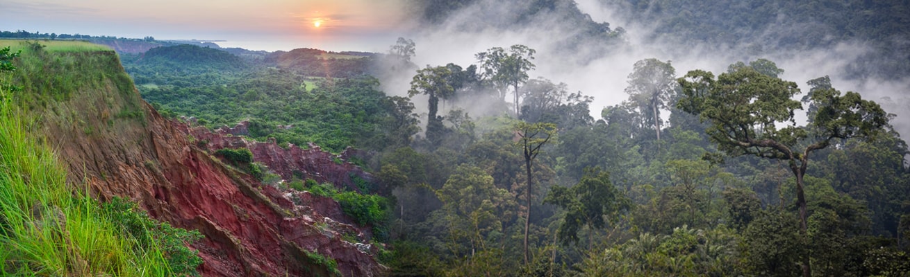 HEALTH PROFILE CONGO