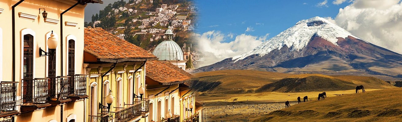 HEALTH PROFILE ECUADOR