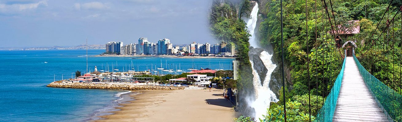 HEALTH PROFILE ECUADOR