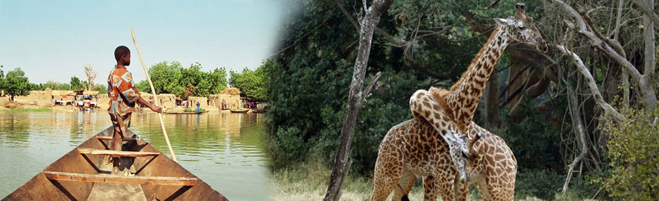 HEALTH PROFILE NIGER