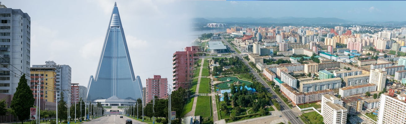 HEALTH PROFILE NORTH KOREA