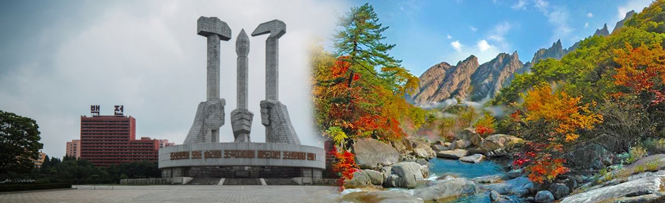 HEALTH PROFILE NORTH KOREA