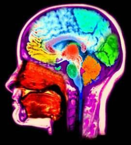 broken_heart Brain