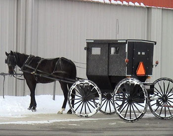 Horse and Buggy