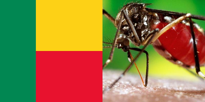 Category Template 14 Riesgos de salud Benín