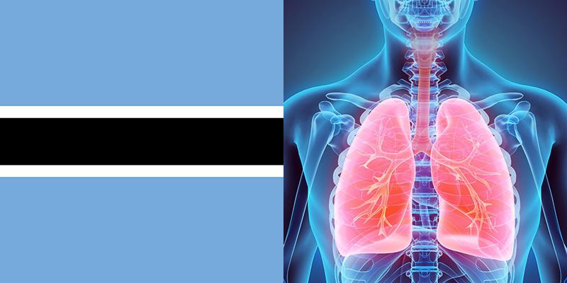 Botswana intelligence overview