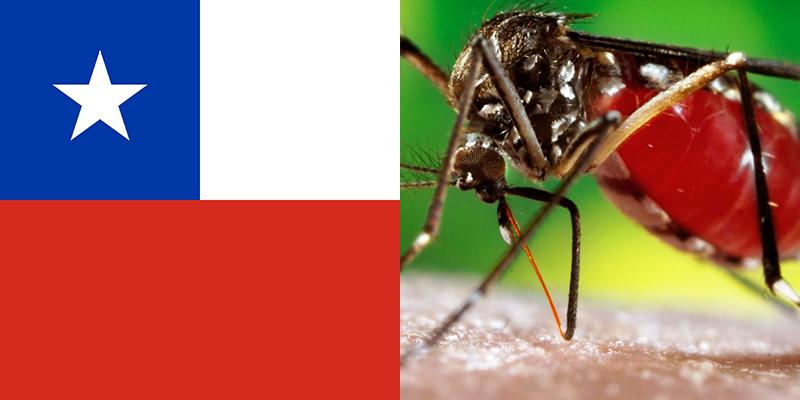 Dengue in Chile