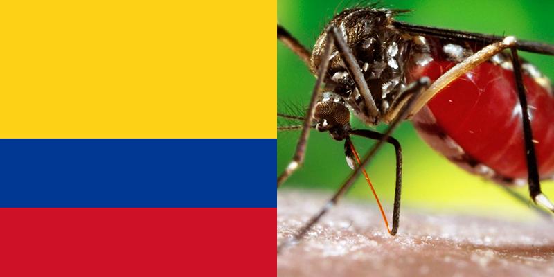 Geo-Epidemiological Bridging: Local Outbreaks, Global Frameworks