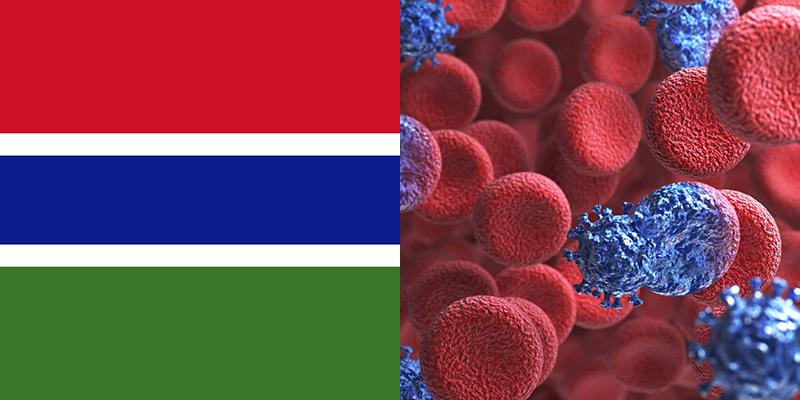 Hiv Aids In Gambia