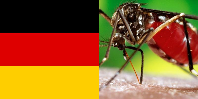 Dengue Epidemie In Italien? Die Erschreckenden Zahlen Vom 29.07.25! - dkbqzs3
