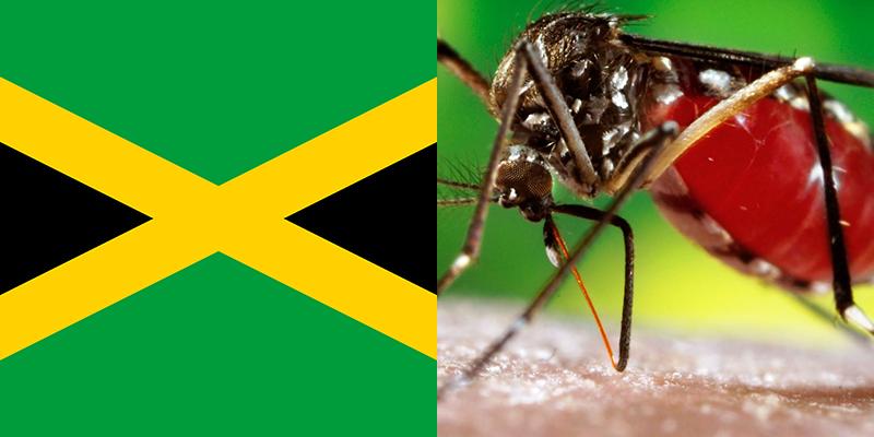 jamaica dengue