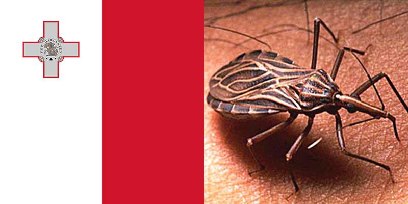 Chagas-Krankheit in Malta