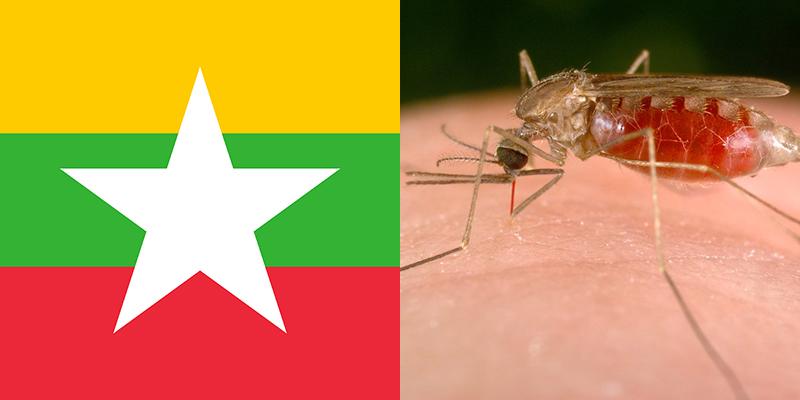 Myanmar visual data 5
