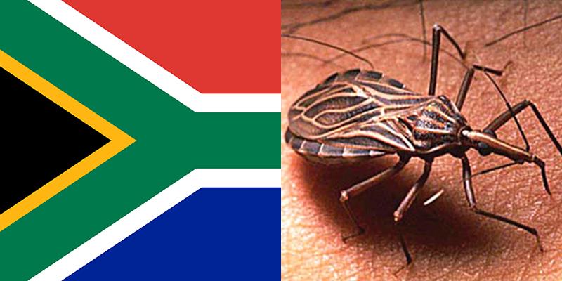 Chagas disease in South Africa
