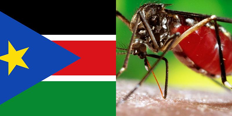Image Result For High Seroprevalence Of Dengue Virus Infection In Sudan