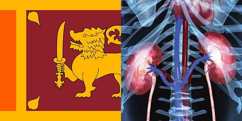 Kidney Disease in Sri Lanka