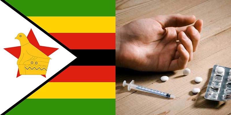 dissertation on drug abuse in zimbabwe pdf
